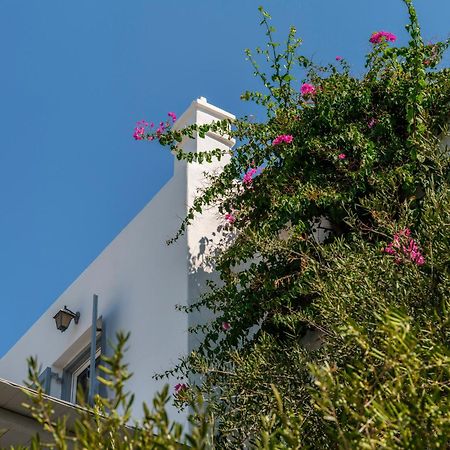 Baybees Sea View Residence Platys Gialos  Dış mekan fotoğraf